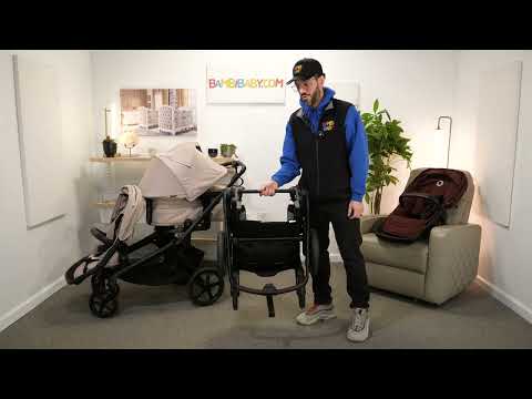 Bugaboo Kangaroo Complete Stroller - Bambi Baby