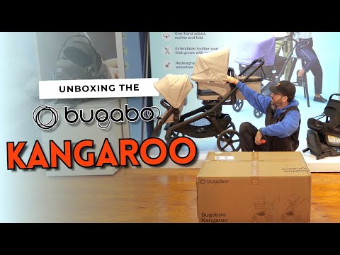 Bugaboo Kangaroo Complete Stroller - Bambi Baby